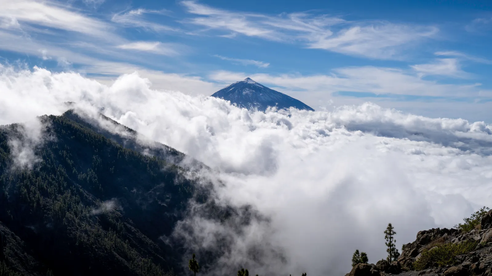 El Teide emergiendo sobre un mar de nubes, con cielo azul y laderas de pinos